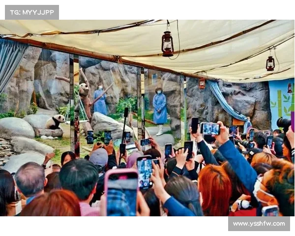 熊猫手游:萌翻全场的欢乐盛宴 熊猫手游:萌翻全场的欢乐盛宴