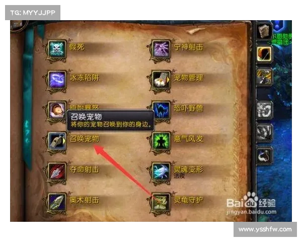 魔兽世界技能说明：完美展示游戏技能